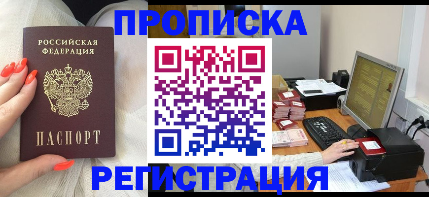 временная регистрация поиск в Змеиногорске